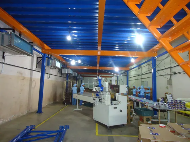 Mezzanine floor for a Confectionary products company in Ranala — 7 of 9