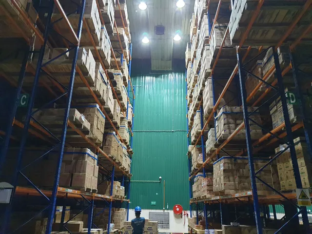 Double Deep Pallet Racking System for a confectionary products manufacturing company in Ranala — 15 of 32