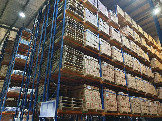 Double Deep Pallet Racking System for a confectionary products manufacturing company in Ranala — 19 of 32