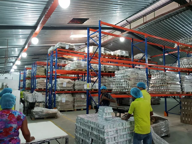 Selective Pallet Racking System for a Coconut products export company in Dankotuwa — 2 of 4