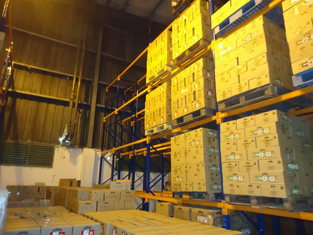 Selective Pallet Racking System for a food products manufacturing company in Negombo — 10 of 12
