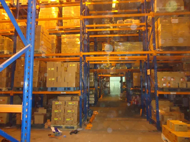 Selective Pallet Racking System for a food products manufacturing company in Negombo — 11 of 12